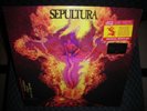 Sepultura *Above The Remains Live '89 Rocktober Exc *NEW RED RECORD LP VINYL