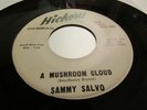SAMMY SALVO POPCORN  NORTHERN SOUL HICKORY RECORD PROMO A MUSHROOM CLOUD