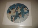 THE BEATLES Decca Tapes LP Picture Disc  1970s