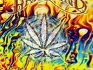 HAWKWIND - AMSTERDAM 2015 7