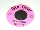 Psych Pop RARITY NEVER TO LEAVE Two Bits BIG DEAL LABEL 45 rpm Sunshine Pop Sngl