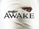 Awake - Skillet - Rock & Pop Music Vinyl