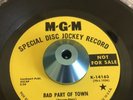 the seeds BAD PART OF TOWN heavy garage psych MGM promo