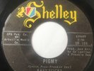Mad Mike Tittyshaker 45/ Baby Sticks & Kingtones (Ghoulardi) 