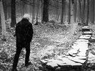 Graham Nash - This Path Tonight
