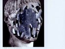 Head Wound City - New Wave of Violence