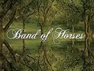 Everything All The Time - Band Of Horses - Rock & Pop Music Vinyl