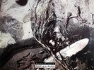 DAVID SYLVIAN SECRETS OF THE BEEHIVE ( R. SAKAMOTO ) LP 87 MADE IN  ITALY SLEEVE