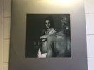 Dave Matthews Band - Recently Vinyl