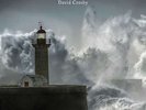 David Crosby - Lighthouse (LP, Album, 180) Vinyl Schallplatte - 148340