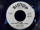Hey, Hey (The Sun's Gonna Shine)/Please Don't Go by Sarah Cooke (Bigtop 519) VG-
