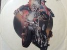 Iron Maiden, Vinyl, 12