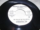 SAMANTHA LEE You Told Me That You Loved Me 45 Promo Funk Northern Soul