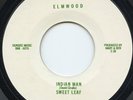 Colorado psych rock garage SWEET LEAF rare Elmwood Indian Man 45 Norman Petty