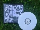 SEALED - Dave Matthews Band Come Tomorrow WHITE 2-LP Vinyl - Warehouse Edition