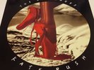 Kate Bush The Red Shoes 1993 [EMD1047] Vinyl  Pop