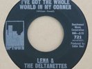 Uptown 721 - Lena & the Deltanettes - Turn Around Baby - northern soul 45rpm