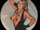 VINYL LP Samantha Fox - Limited Edition Interview Picture Disc II UK pressing NM
