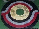 PRINCE – QUIERO SER TU AMANTE-ECUADOR PRESSING RARE 45RPM 1979