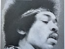 Jimi Hendrix - Jimi Hendrix 12LP Box Set + Maxi-Single  (Polydor 2625 038)