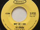GARAGE PUNK The Remains WHY DO I CRY Epic 45 rare Canadian pressing EX