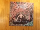 LP Demigod - Slumber of Sullen eyes.Drowned Productions1992.Original first Press