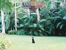 Matt Corby-Rainbow Valley VINYL NEW