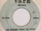 Garage 45 THE AARDVARKS I'm Higher Than I'm Down VARK That's Your Way HEAR