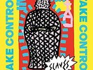 Slaves-Take Control VINYL NEU