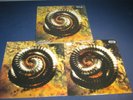 NINE INCH NAILS Closer To God Further Away 2LP vinyl 1994 12 ISX 596