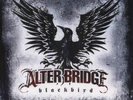 Alter Bridge Blackbird 10th Anni. Solid Red 180g 2 Vinyl LP Deluxe Edition NEU