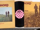 Richmond Frightened Folk Psych 1973 UK Press Dart Record With Poster Rare