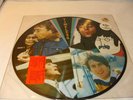 The Beatles Timeless Picture Disc LP