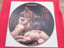 RAMMSTEIN PICTURE DISC LIMITED SINGLE MAXI 2009 LIEBE IST FÜR ALLE DA
