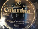 Columbia 15515D Wade & Braswell WHEN WE GO A COURTIN'   78 rpm 1929 EE- country