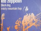 LED ZEPPELIN BLACK DOG 7