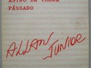 ALLAN JUNIOR - 