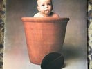 BARCLAY JAMES HARVEST Baby James Harvest - 1984 Vinyl LP EMI A1/B1 1st Ex