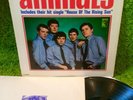 THE ANIMALS s/t 1964 •1st press• MONO MGM mod garage R&B psych blues Them Stones