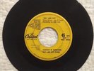 BEACH BOYS Salt Lake City / Amusement Parks USA RARE 7 inch 45 Record 2936