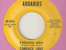 CANDACE LOVE Wonderful Night AQUARIUS DETROIT ZTSC  NORTHERN SOUL 45