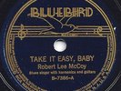 BLUES - ROBERT LEE McCOY 