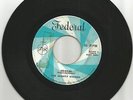 MIGHTY VIKINGS / DO -RE- MI / THE SOUND OF MUSIC / 7''/ VG