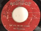 Doo Wop 45 RARE The Twilighters Red Top Lbl.
