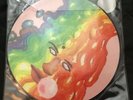 Black Moth Super Rainbow ?– Dandelion Gum Vinyl LP picture disc