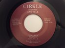 EPICYCLE RARE EP W/ PIC. SLEEVE 