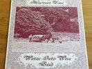 WATER INTO WINE BAND HARVEST TIME rare 1.Press UK ORIGINAL 1976 with INSERTS
