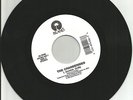Dolores O’Riordan THE CRANBERRIES Zombie /Ode Family LIMITED 7 Inch Vinyl Single