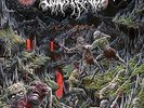 OUTER HEAVEN-REALMS OF ETERNAL DECAY (UK IMPORT) VINYL LP NEW