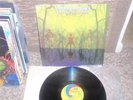 AMERICAN BLUES  (PRE ZZ TOP) GREAT COPY RARE UNI RELEASE ORIG PSYCH